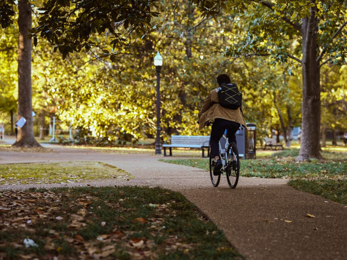 Man on the bike