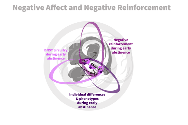 Diagram showing negative affect and negative reinforcement.