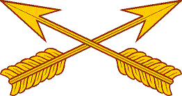 Special Forces insignia