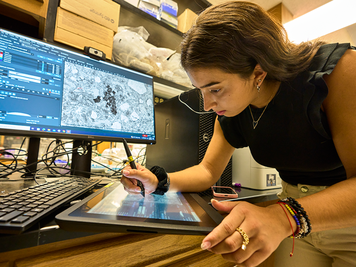 Student works on a computer