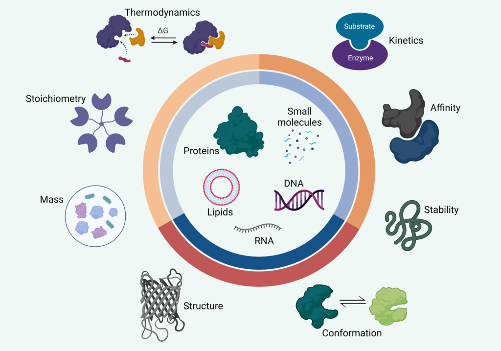 Protein Characterization | Center for Structural Biology | Vanderbilt ...