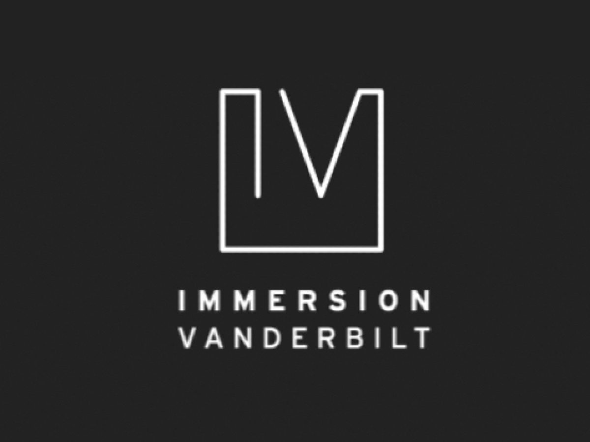 Immersion logo